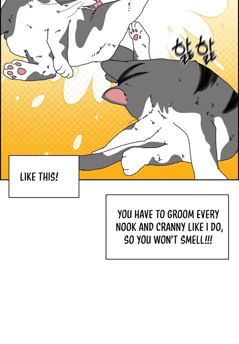 Unscratched Lottery Ticket Chapter 4710 page 31 - 