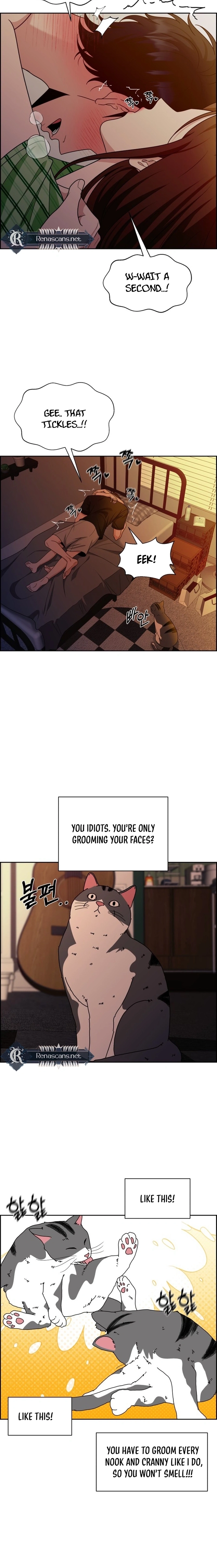 Unscratched Lottery Ticket Chapter 479 page 7 - 