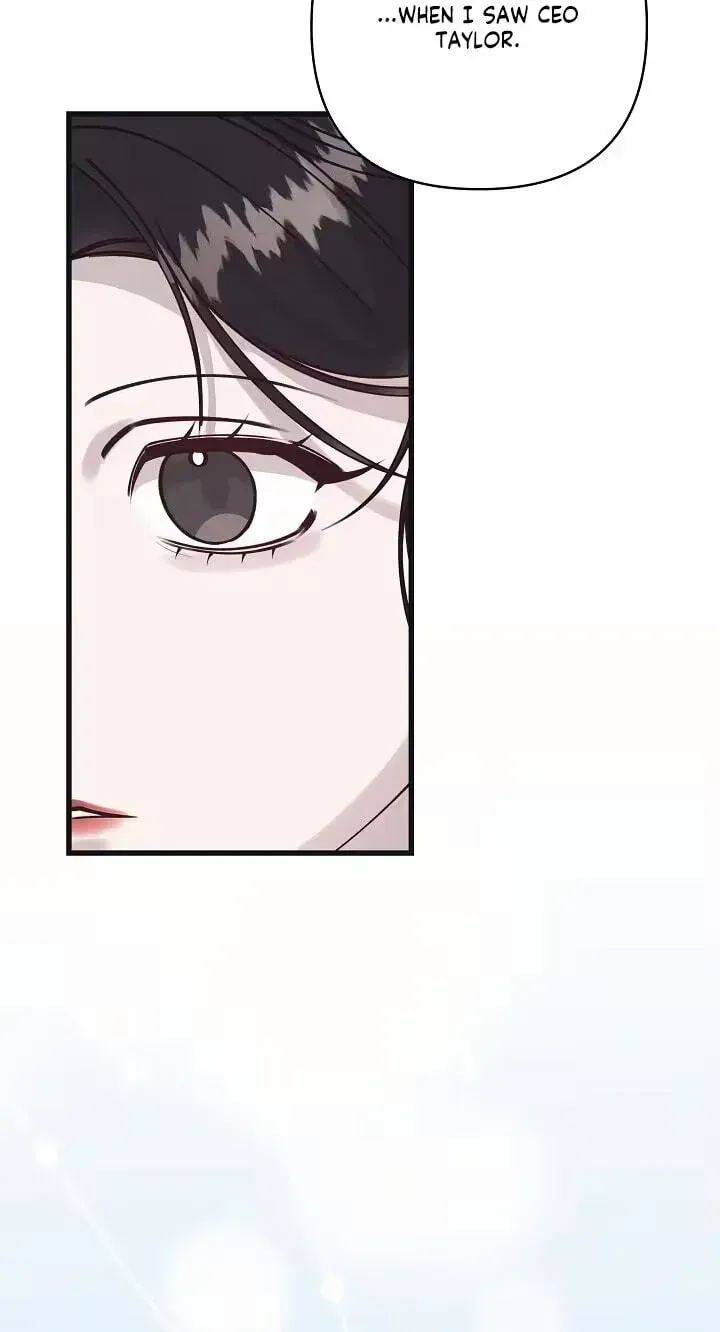 Unstable Partnership Chapter 52 page 27 - 