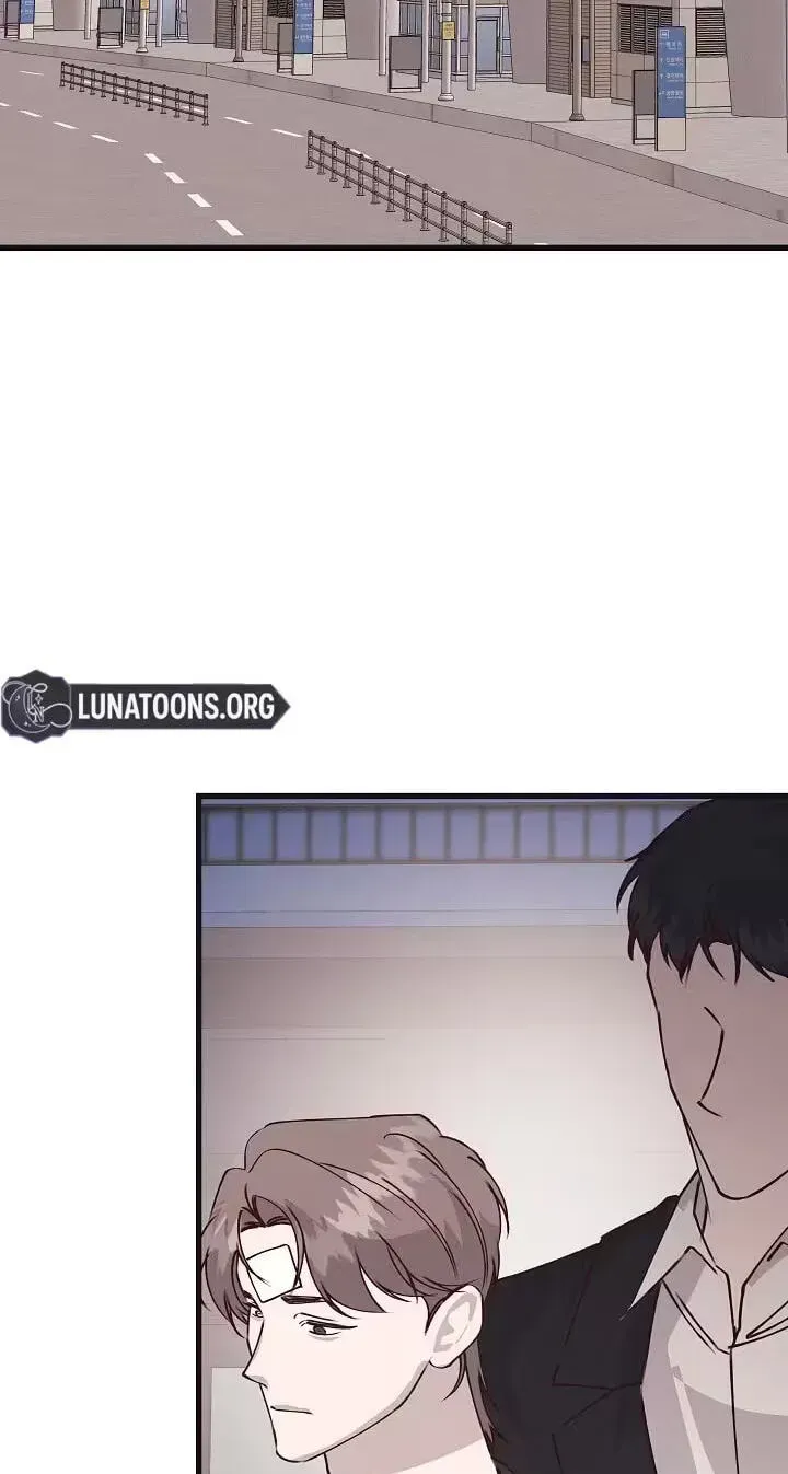Unstable Partnership Chapter 52 page 62 - 