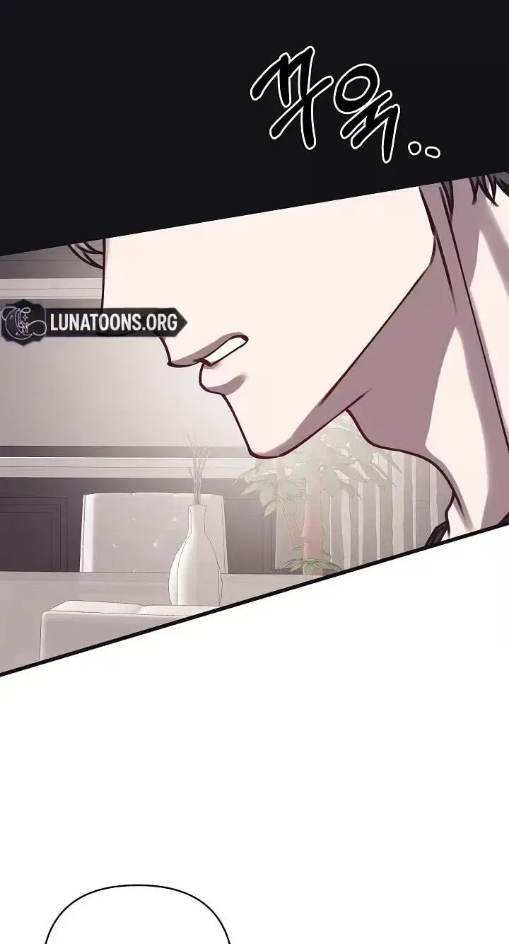 Unstable Partnership Chapter 52 page 83 - 