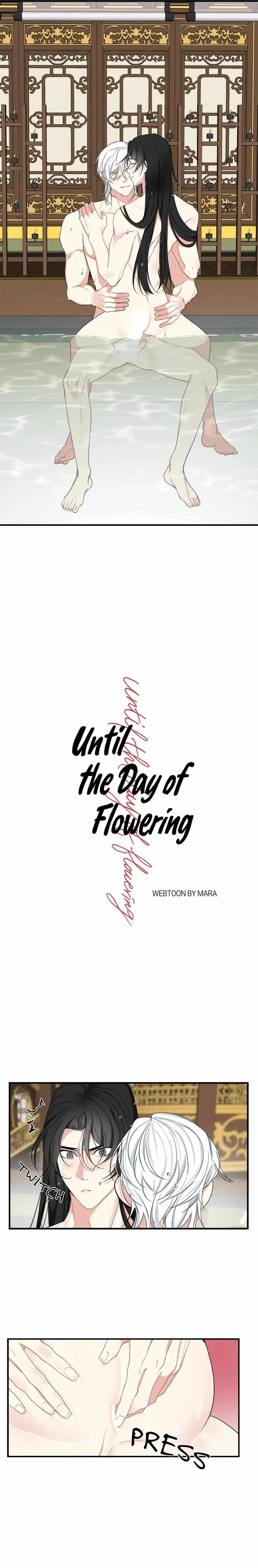 Until the Day of Flowering Chapter 27 page 2 - 