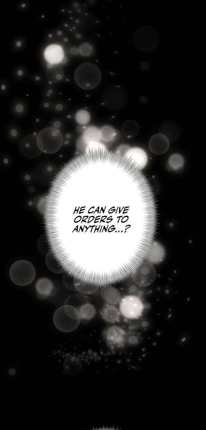Until the Soul of the Fallen Queen Knows Love Chapter 54 page 74 - 