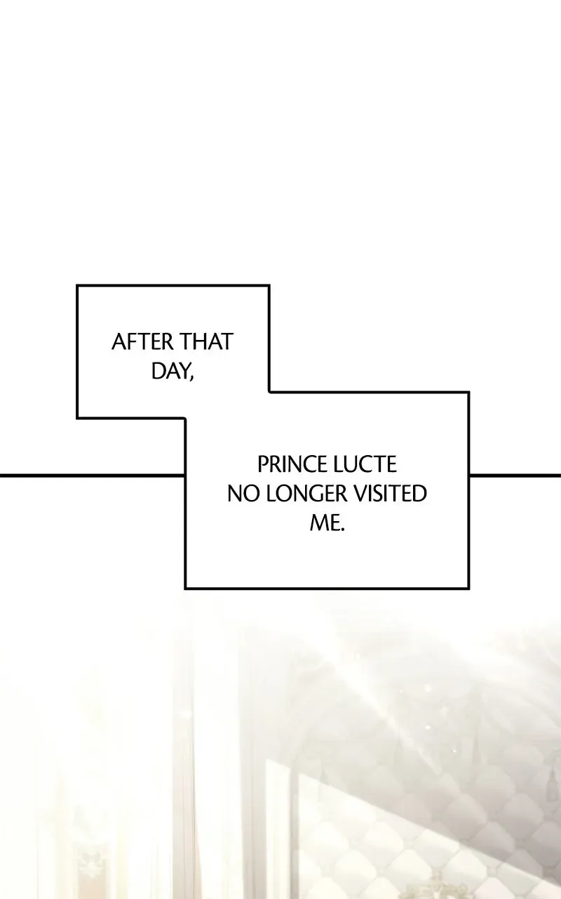 Until the Soul of theFallen Queen Knows Love Chapter 17 page 51 - 