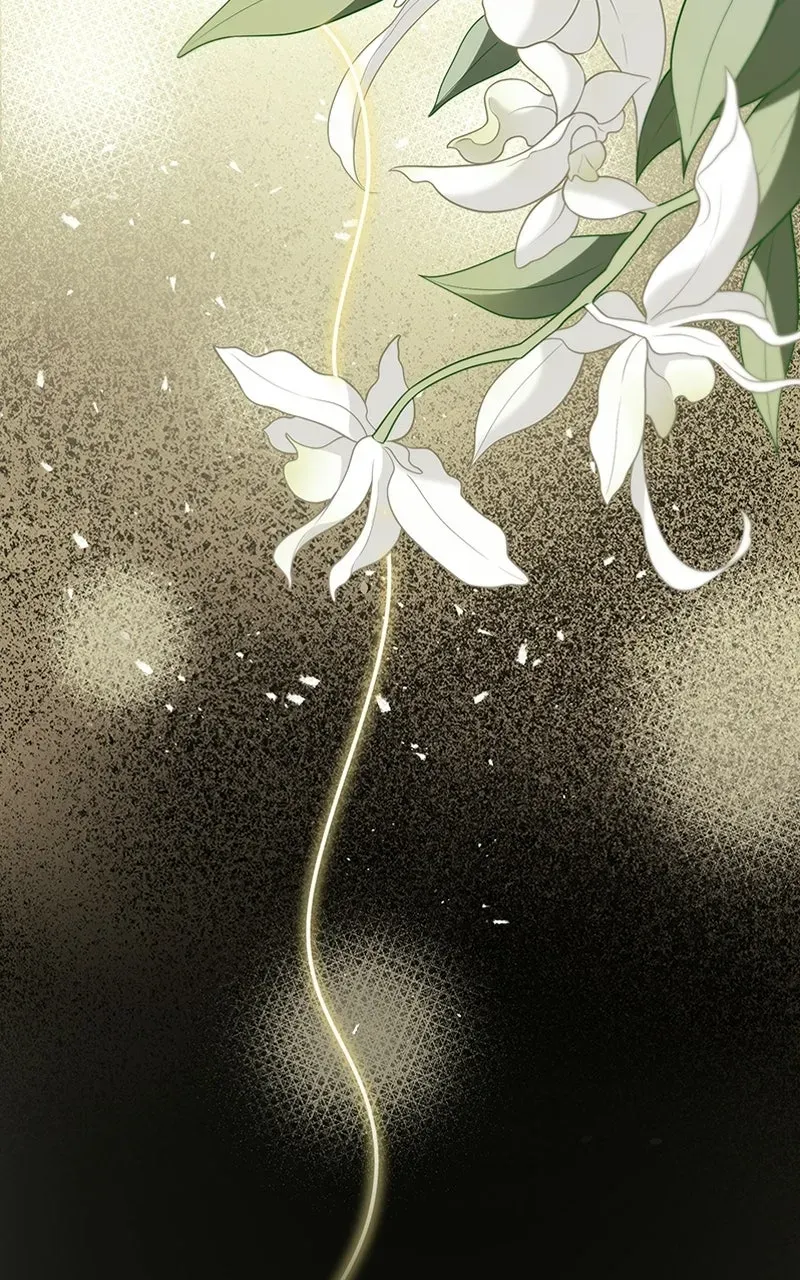 Until the Soul of theFallen Queen Knows Love Chapter 19 page 53 - 