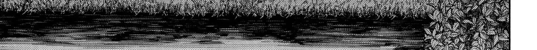 Until Your Bones Rot Chapter 74 page 10 - 