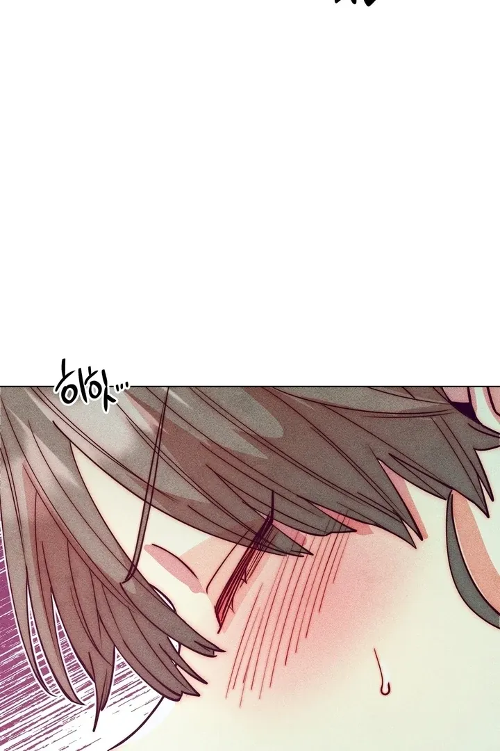 V-Card Raider: Collecting The Male Leads Chapter 14 page 25 - 