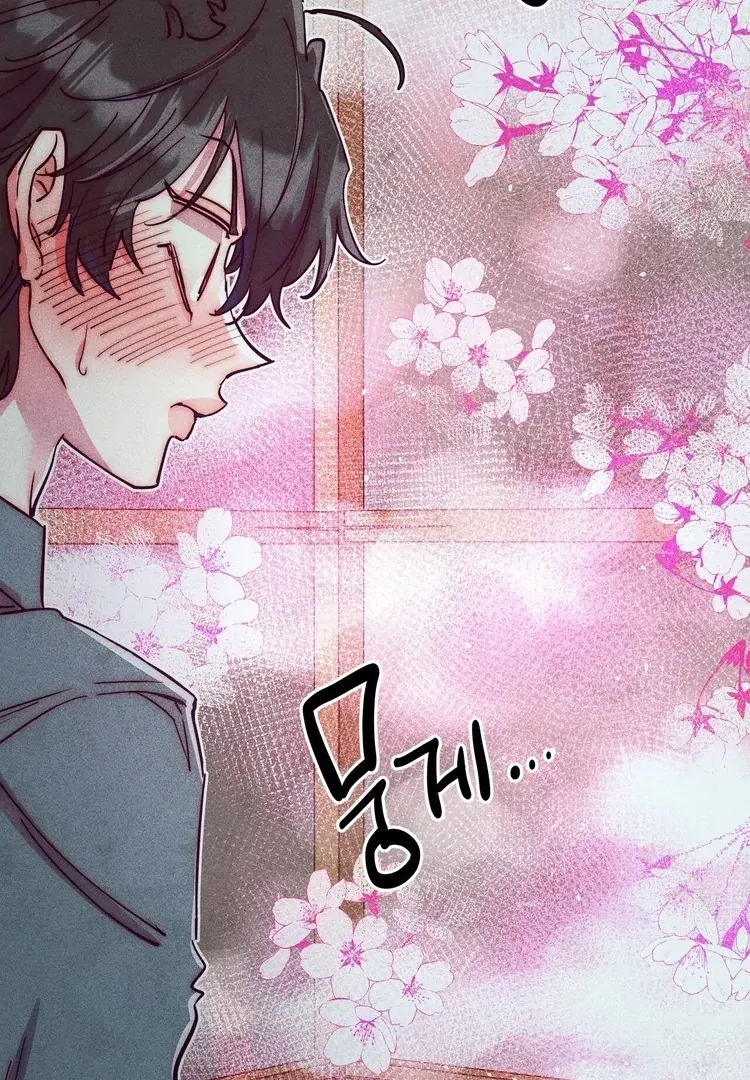 V-Card Raider: Collecting The Male Leads Chapter 9 page 24 - 