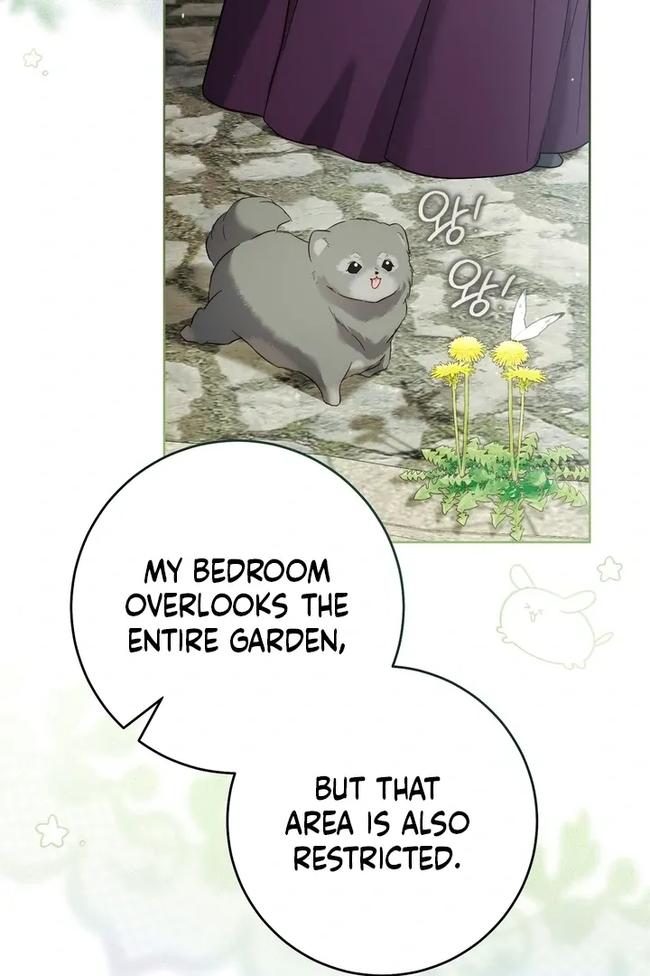 Valentina’s Paradise Chapter 5 page 101 - 