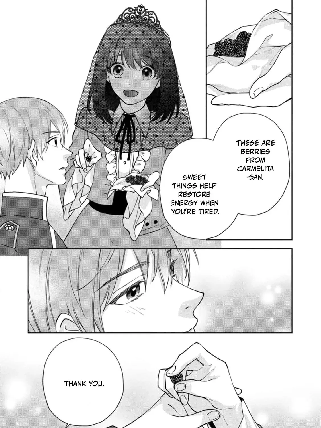 Veil no Seijo - Minikui to Gokaisareta Seijo, Ikemen Goei Kishi ni Dekiaisareru Chapter 12 page 27 - 