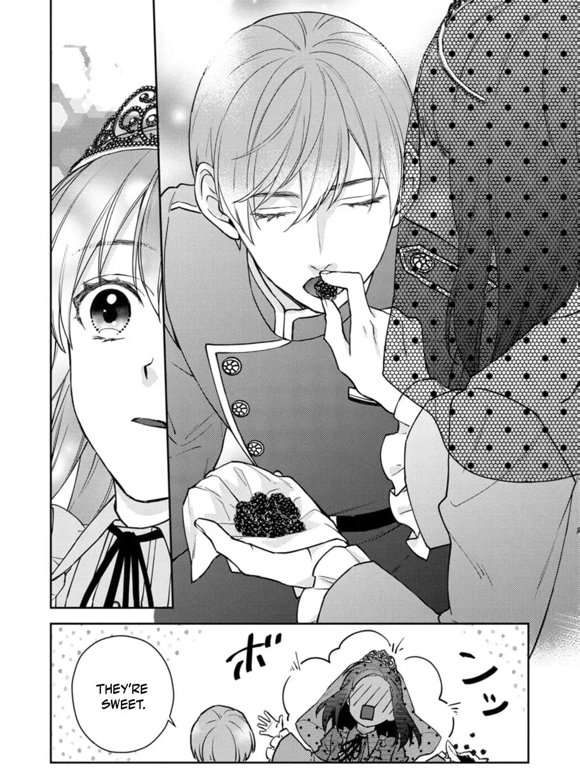 Veil no Seijo - Minikui to Gokaisareta Seijo, Ikemen Goei Kishi ni Dekiaisareru Chapter 12 page 29 - 