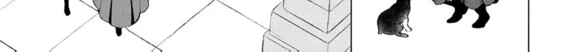 Veil no Seijo - Minikui to Gokaisareta Seijo, Ikemen Goei Kishi ni Dekiaisareru Chapter 21 page 38 - 