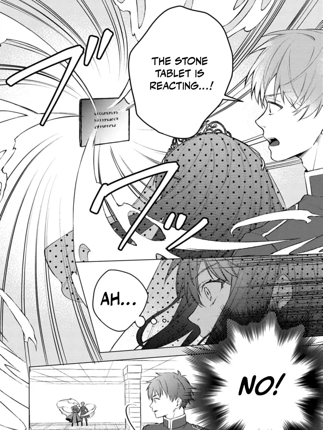 Veil no Seijo - Minikui to Gokaisareta Seijo, Ikemen Goei Kishi ni Dekiaisareru Chapter 21 page 47 - 