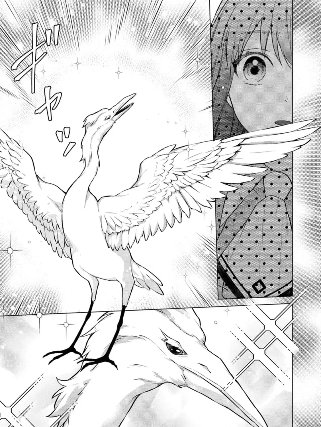 Veil no Seijo - Minikui to Gokaisareta Seijo, Ikemen Goei Kishi ni Dekiaisareru Chapter 22 page 15 - 