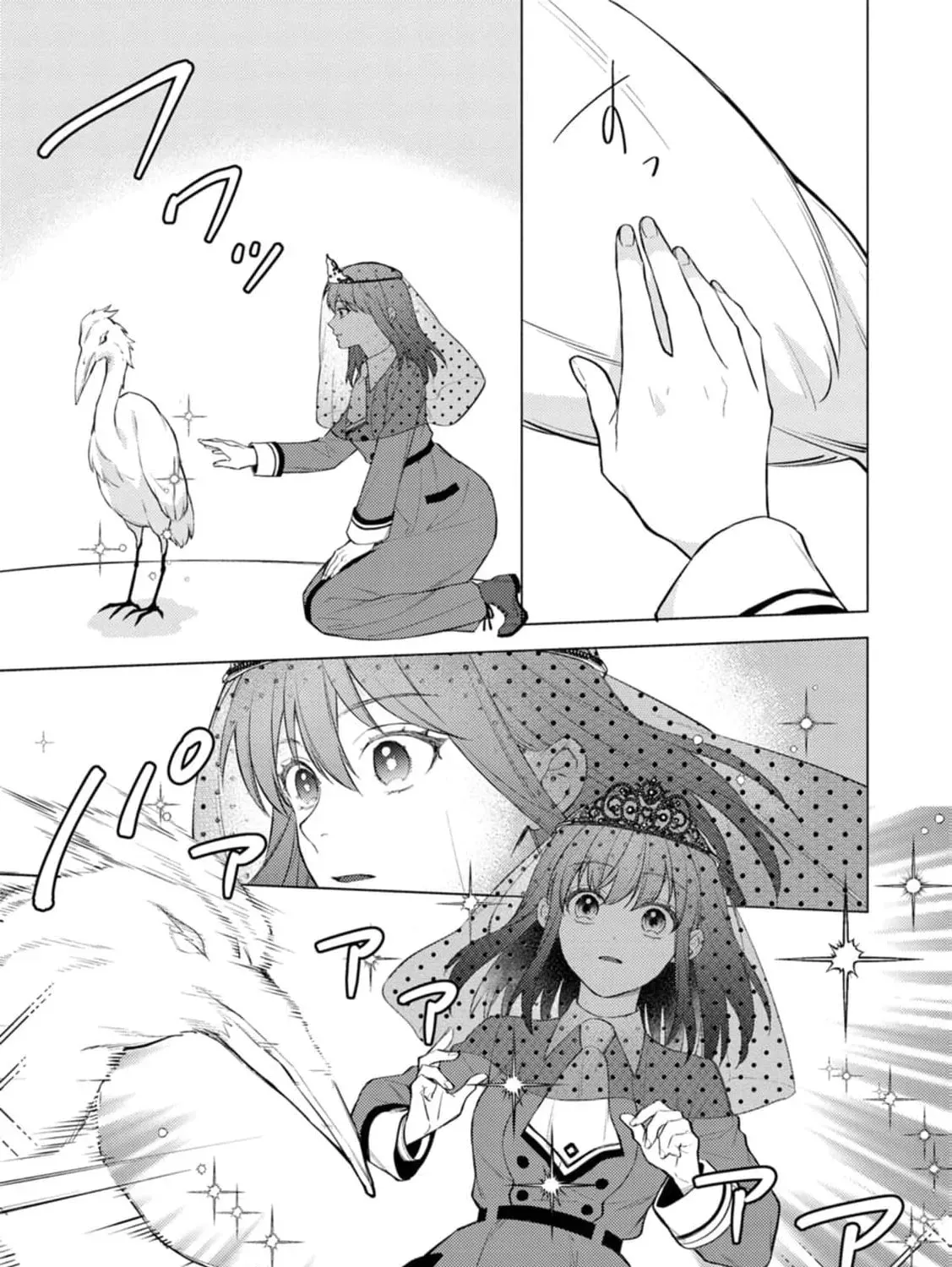 Veil no Seijo - Minikui to Gokaisareta Seijo, Ikemen Goei Kishi ni Dekiaisareru Chapter 22 page 19 - 