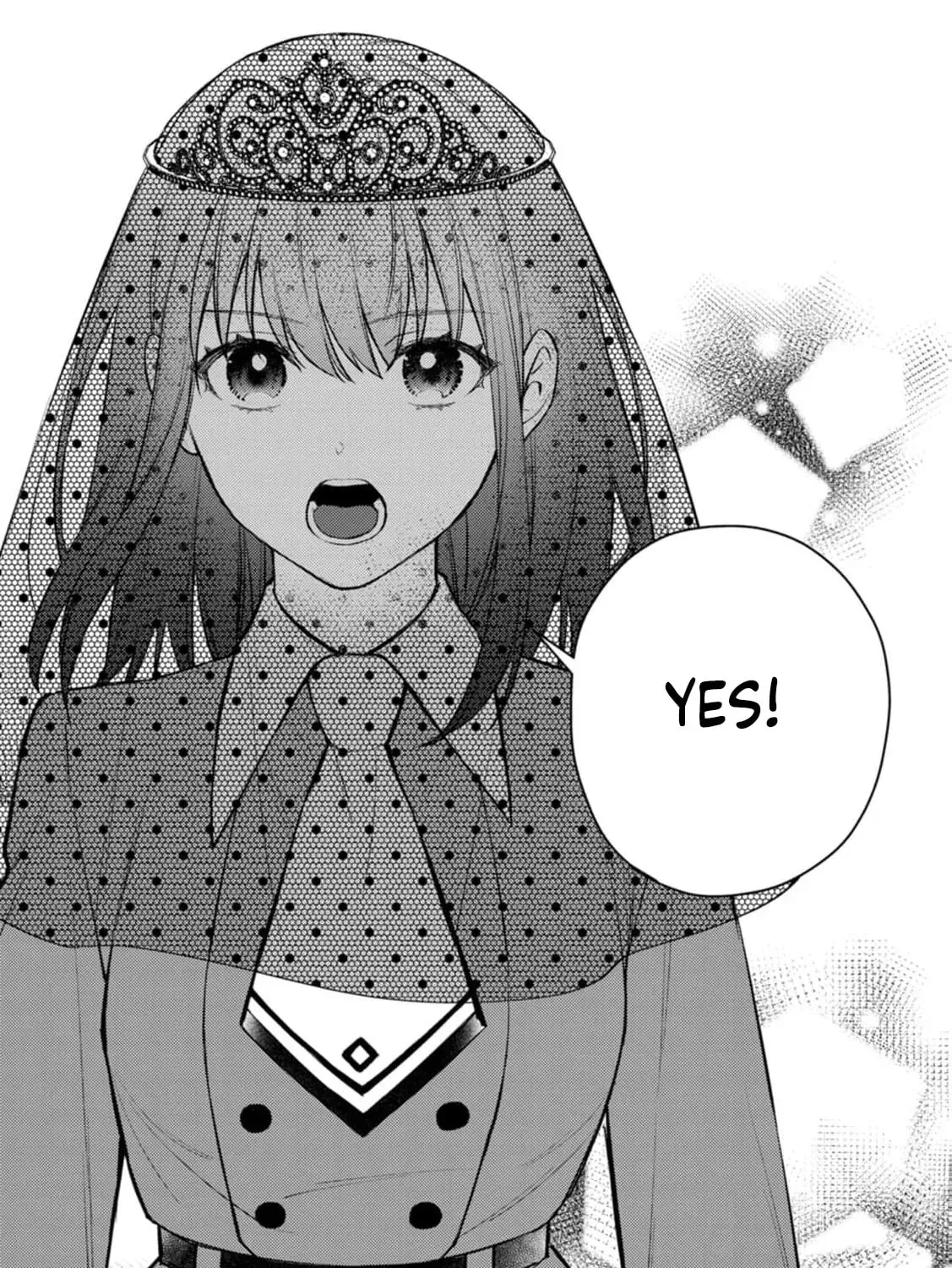 Veil no Seijo - Minikui to Gokaisareta Seijo, Ikemen Goei Kishi ni Dekiaisareru Chapter 23 page 53 - 