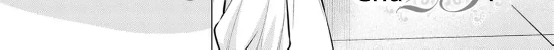 Veil no Seijo - Minikui to Gokaisareta Seijo, Ikemen Goei Kishi ni Dekiaisareru Chapter 23 page 8 - 