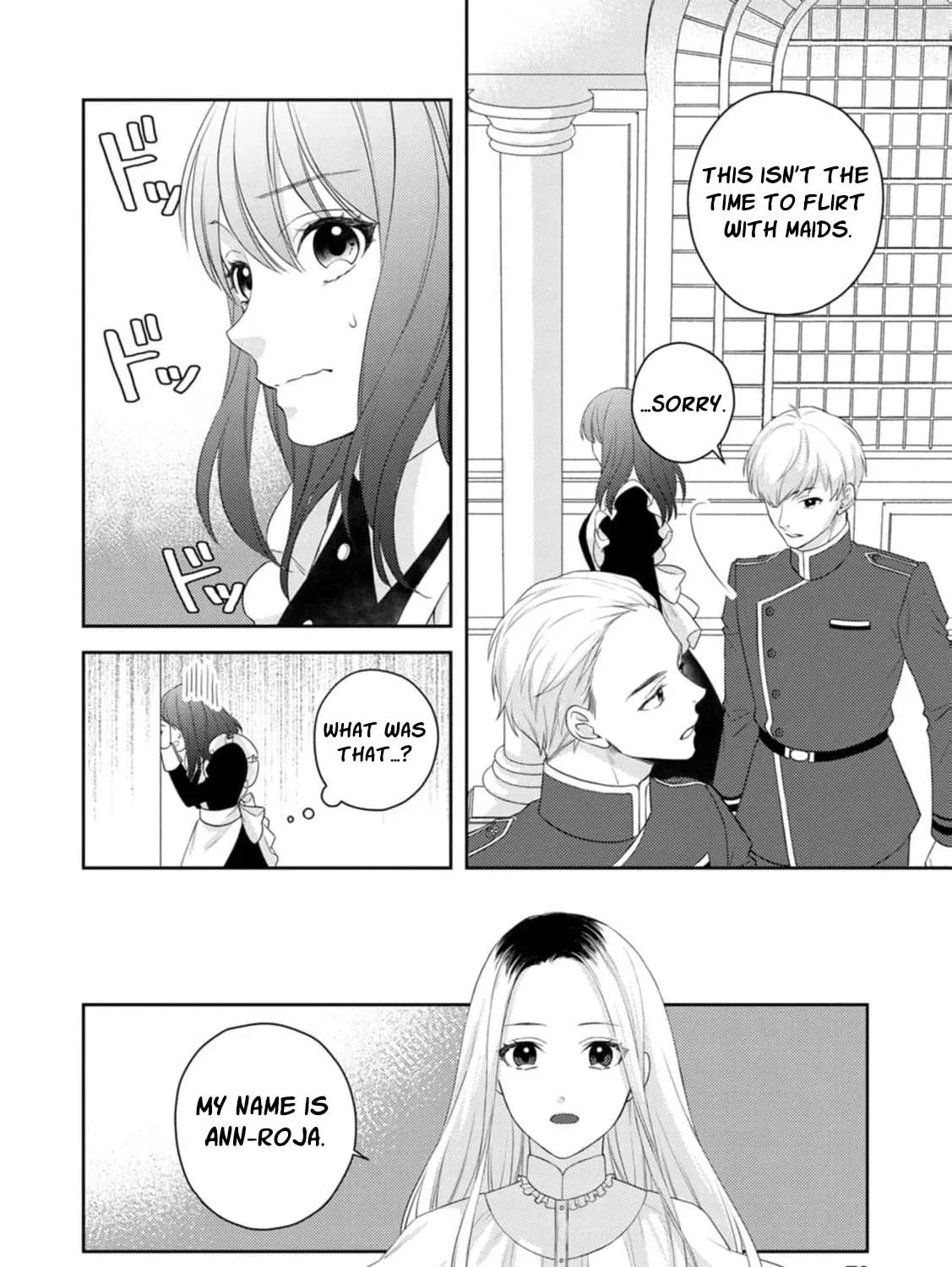 Veil no Seijo - Minikui to Gokaisareta Seijo, Ikemen Goei Kishi ni Dekiaisareru Chapter 3 page 29 - 
