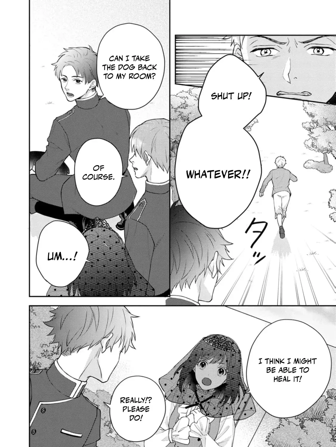 Veil no Seijo - Minikui to Gokaisareta Seijo, Ikemen Goei Kishi ni Dekiaisareru Chapter 7 page 17 - 