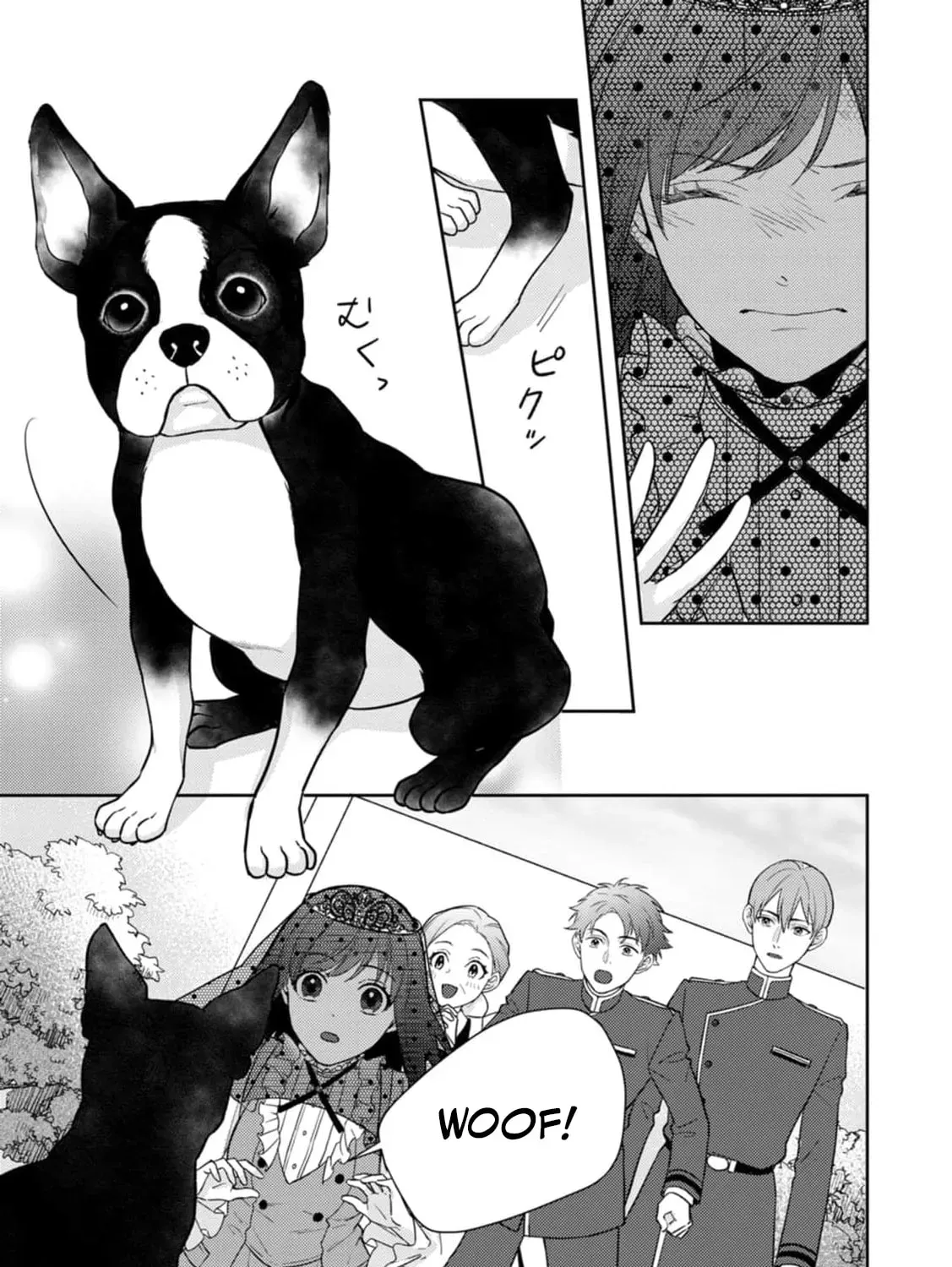 Veil no Seijo - Minikui to Gokaisareta Seijo, Ikemen Goei Kishi ni Dekiaisareru Chapter 7 page 23 - 