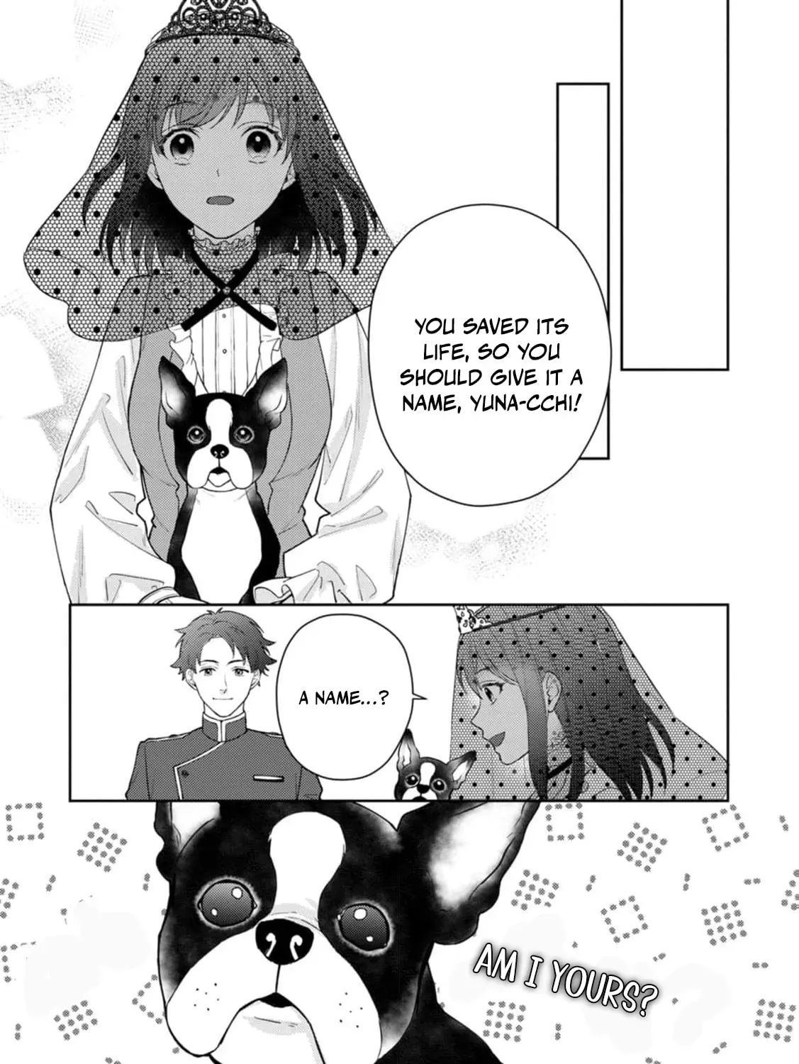 Veil no Seijo - Minikui to Gokaisareta Seijo, Ikemen Goei Kishi ni Dekiaisareru Chapter 7 page 27 - 