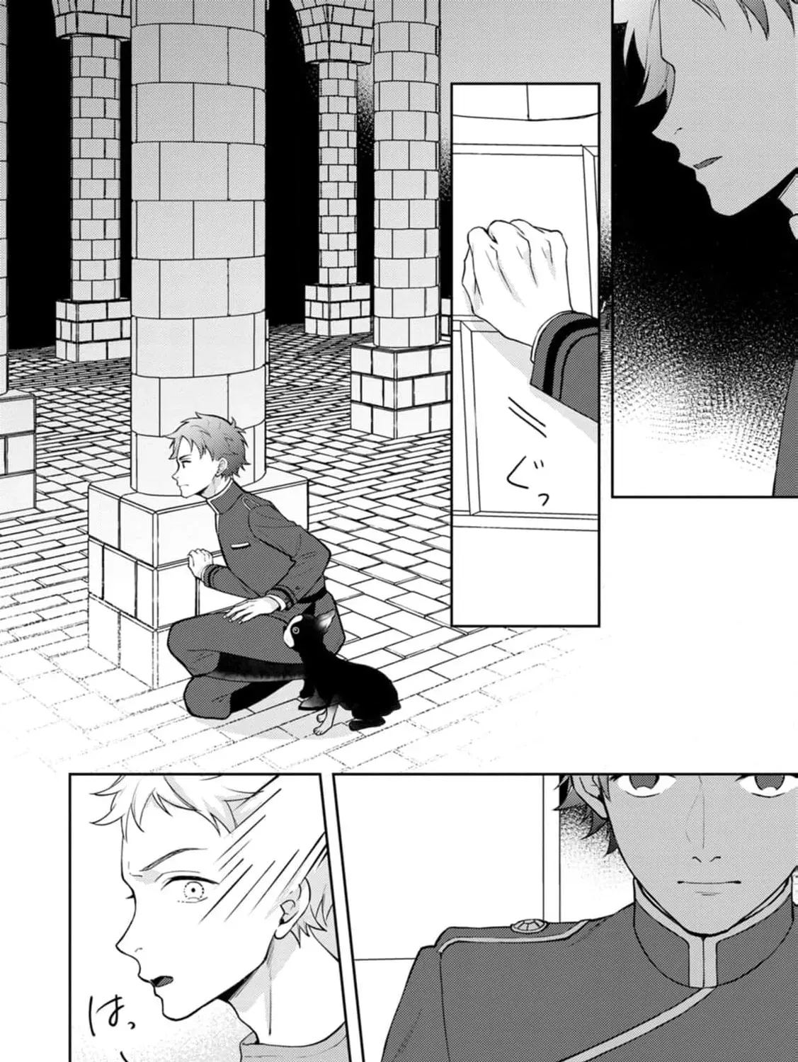Veil no Seijo - Minikui to Gokaisareta Seijo, Ikemen Goei Kishi ni Dekiaisareru Chapter 7 page 45 - 