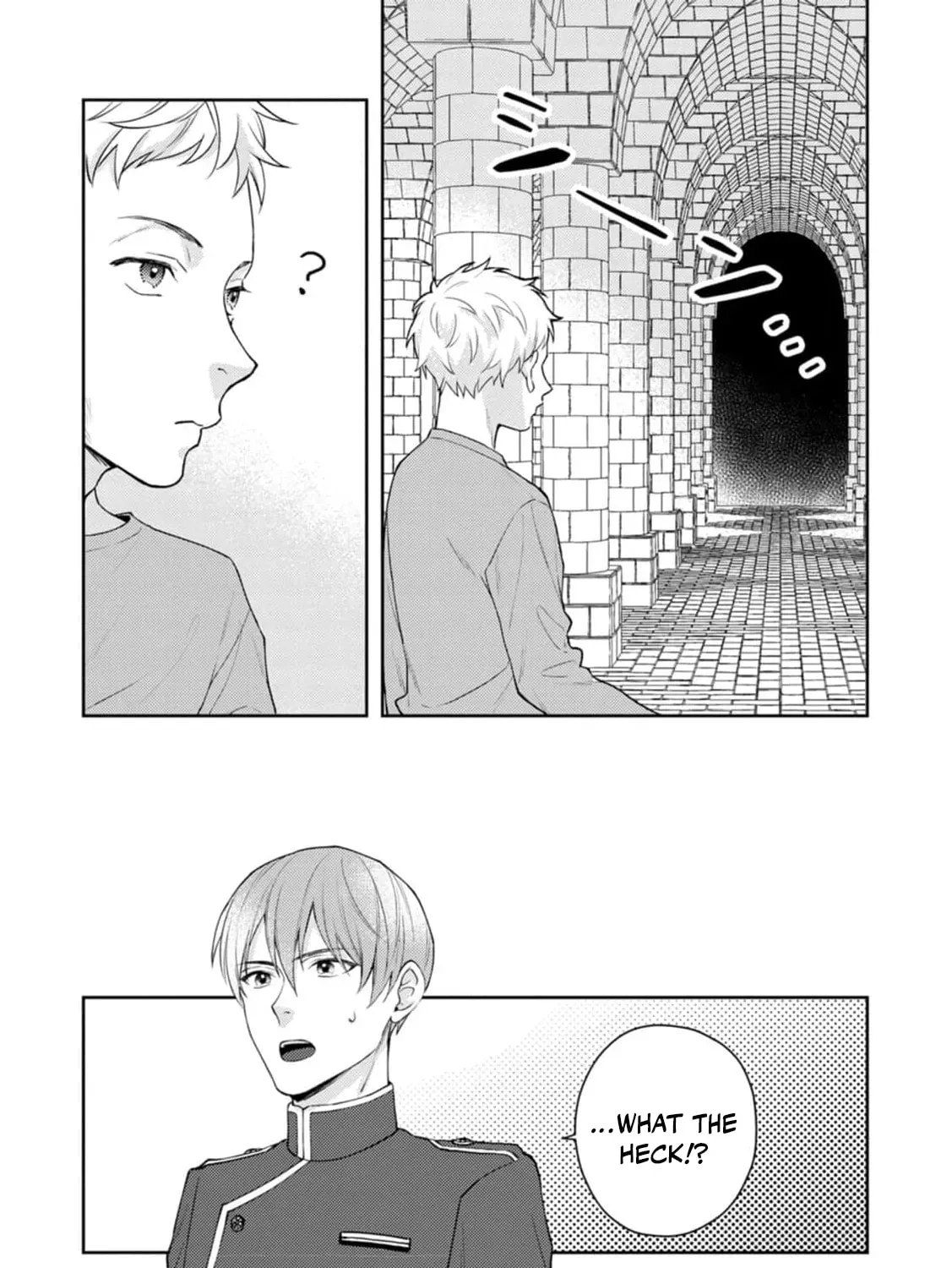 Veil no Seijo - Minikui to Gokaisareta Seijo, Ikemen Goei Kishi ni Dekiaisareru Chapter 7 page 47 - 