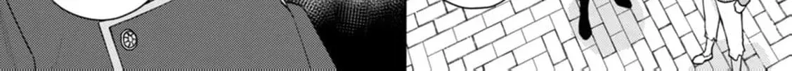 Veil no Seijo - Minikui to Gokaisareta Seijo, Ikemen Goei Kishi ni Dekiaisareru Chapter 8 page 54 - 