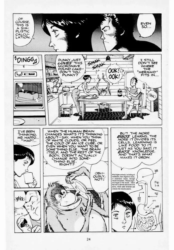 Version Chapter 1 page 25 - 