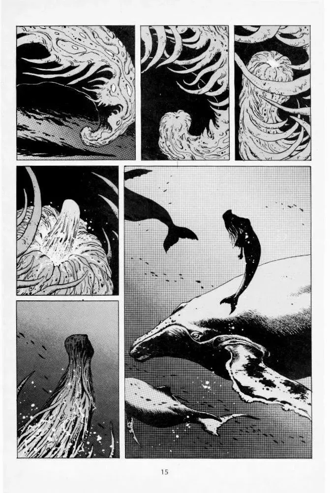 Version Chapter 7 page 16 - 