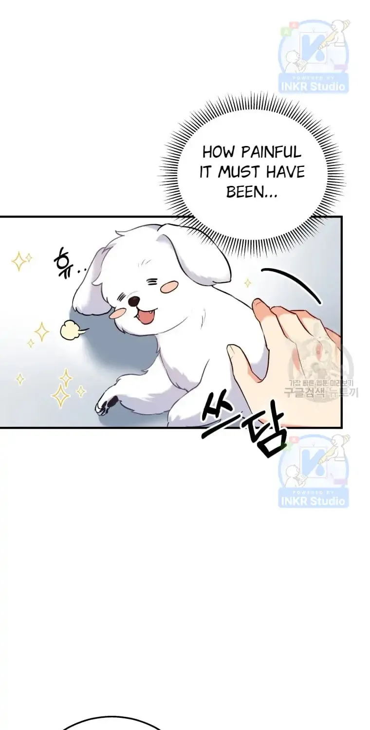 Veterinarian! Hello? Chapter 1 page 101 - 