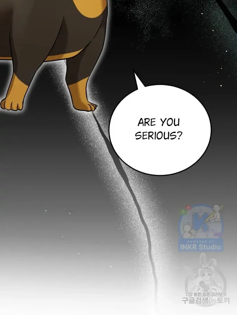 Veterinarian! Hello? Chapter 1 page 4 - 