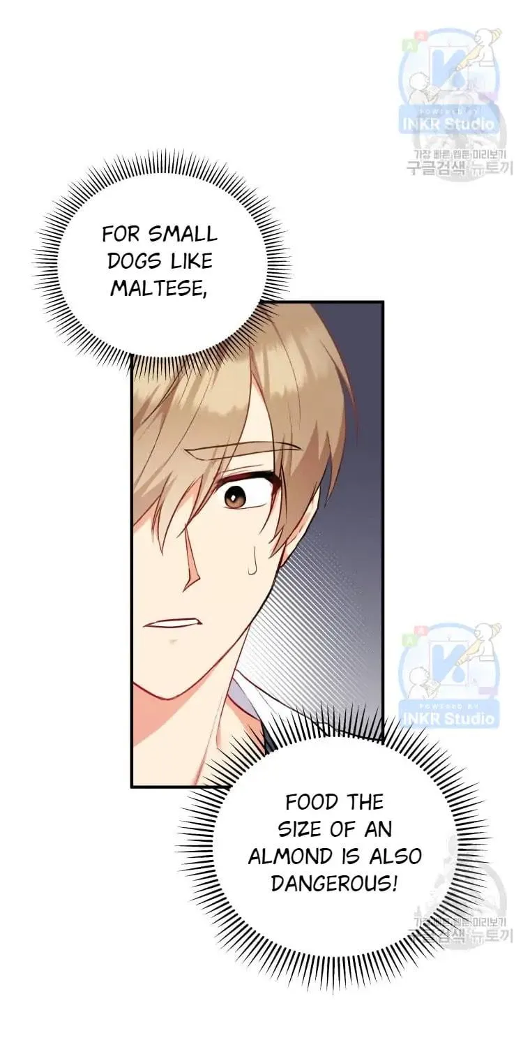 Veterinarian! Hello? Chapter 1 page 99 - 