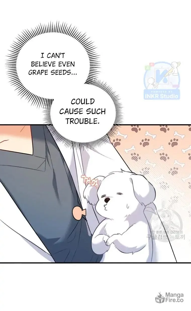 Veterinarian! Hello? Chapter 1 page 100 - 
