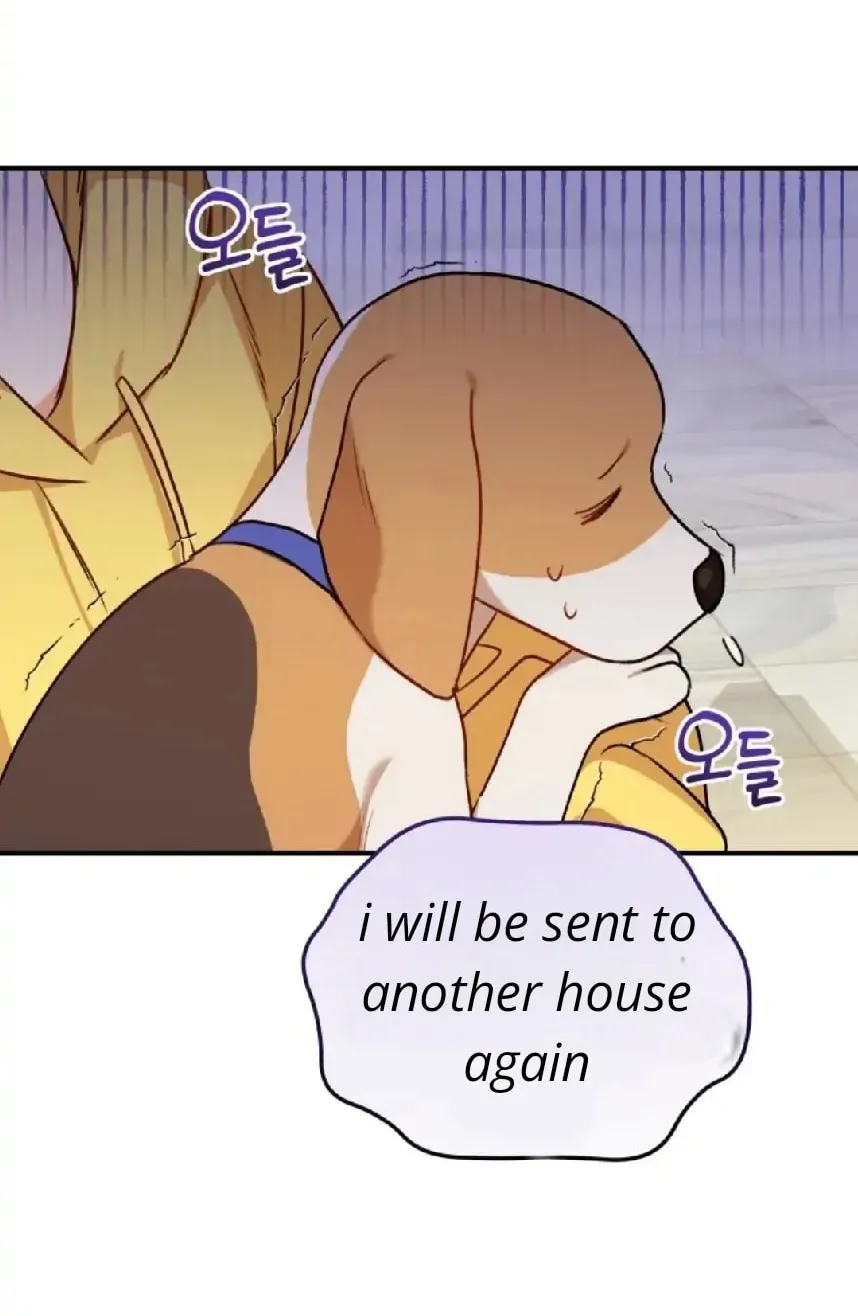 Veterinarian! Hello? Chapter 10 page 75 - 