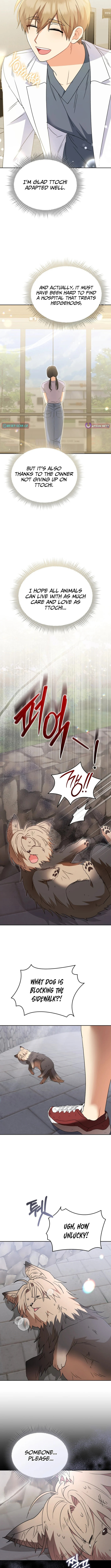 Veterinarian! Hello? Chapter 100 page 12 - 