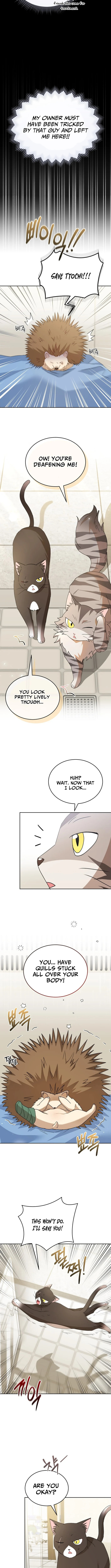 Veterinarian! Hello? Chapter 100 page 5 - 