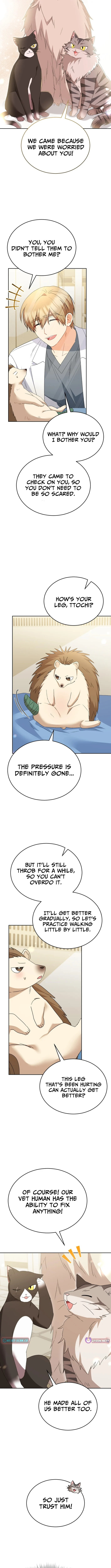 Veterinarian! Hello? Chapter 100 page 8 - 