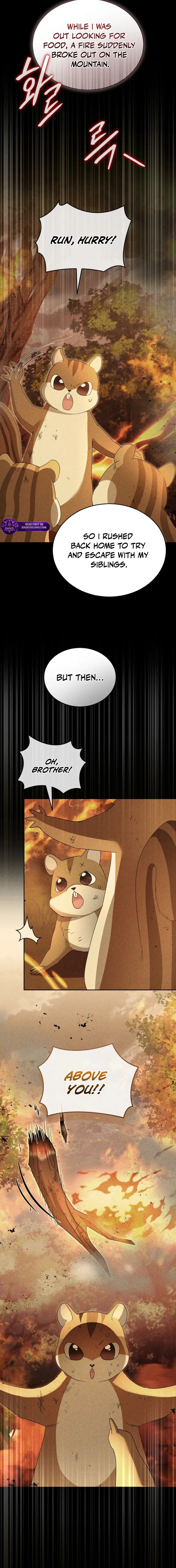 Veterinarian! Hello? Chapter 107 page 14 - 