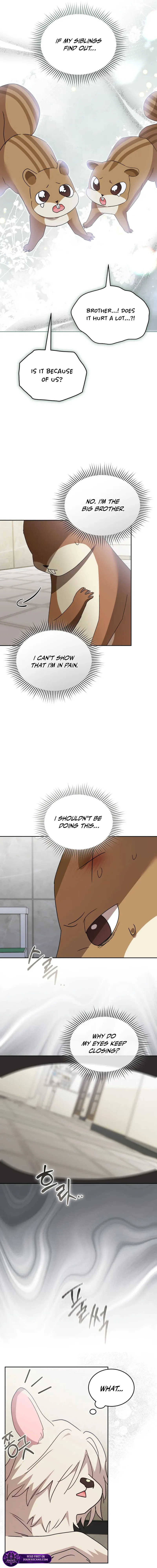 Veterinarian! Hello? Chapter 109 page 11 - 