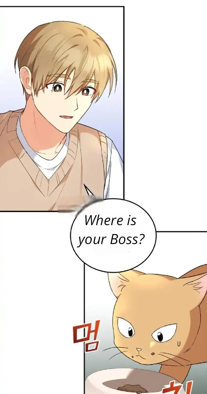 Veterinarian! Hello? Chapter 11 page 60 - 