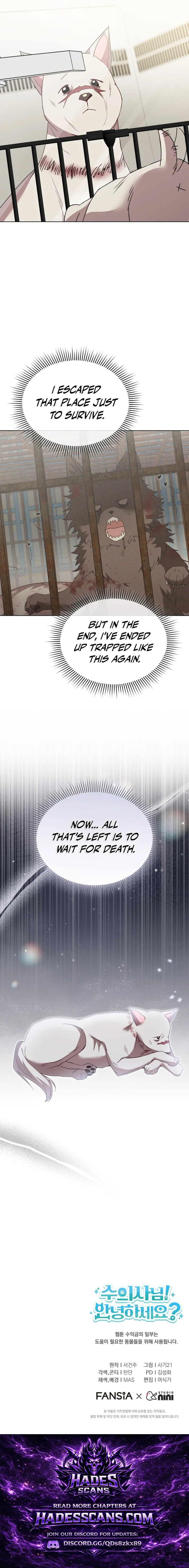 Veterinarian! Hello? Chapter 113 page 17 - 