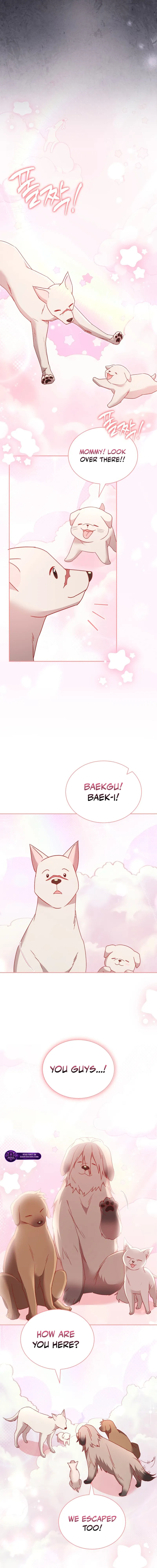 Veterinarian! Hello? Chapter 115 page 14 - 