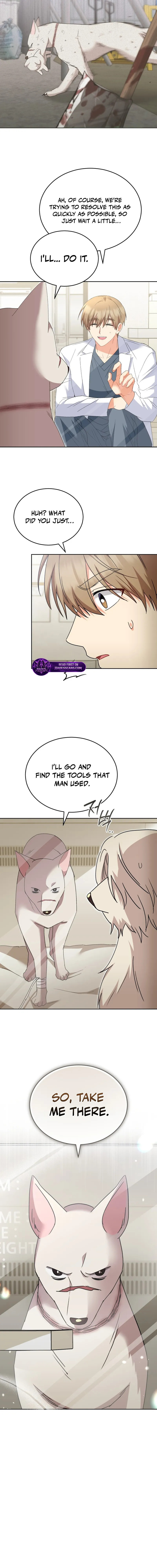 Veterinarian! Hello? Chapter 116 page 13 - 