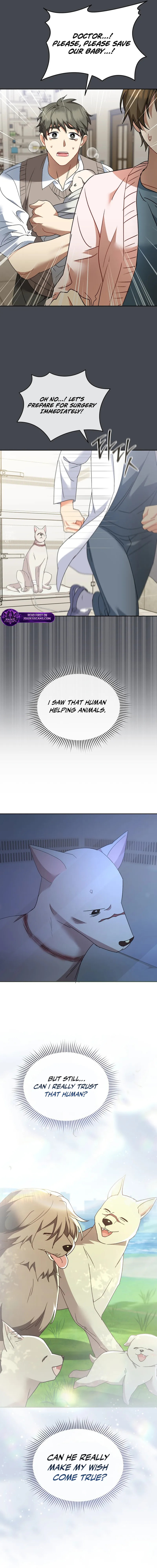 Veterinarian! Hello? Chapter 116 page 7 - 