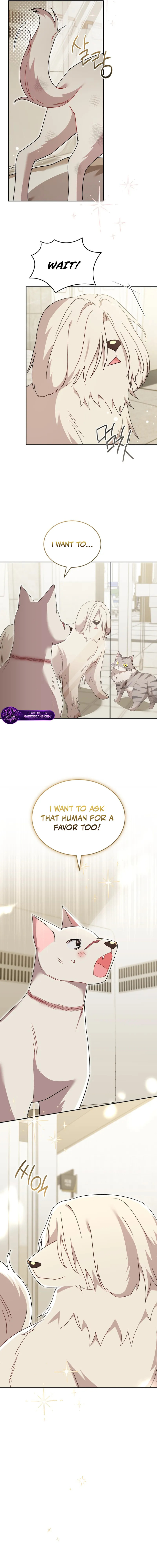 Veterinarian! Hello? Chapter 116 page 10 - 