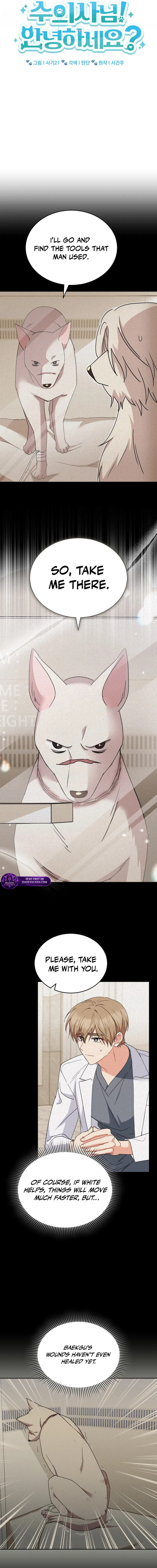 Veterinarian! Hello? Chapter 117 page 2 - 