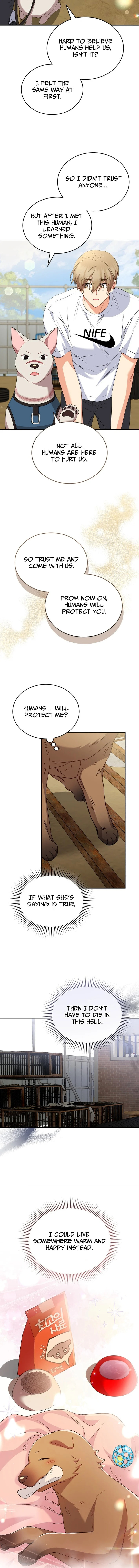 Veterinarian! Hello? Chapter 119 page 11 - 