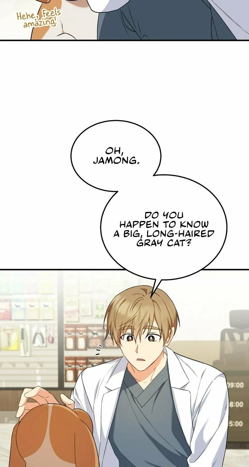 Veterinarian! Hello? Chapter 12 page 20 - 