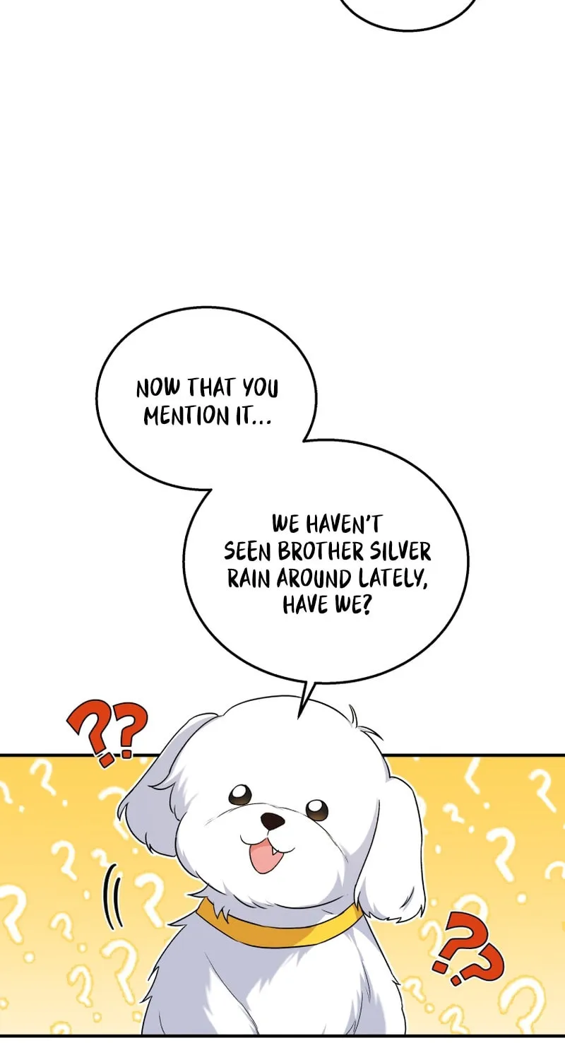 Veterinarian! Hello? Chapter 12 page 3 - 